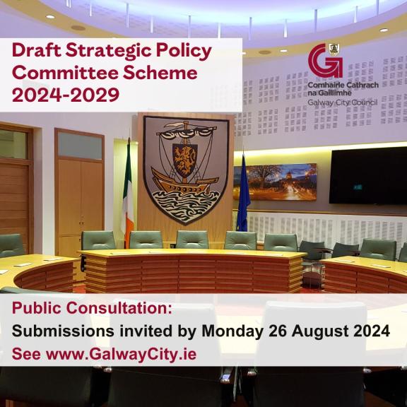 Draft Strategic Policy Committee Scheme 2024 - 2029