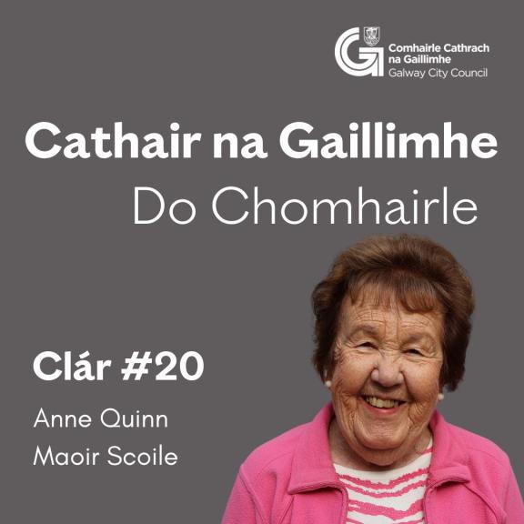 Anne Quinn, Maor Scoile