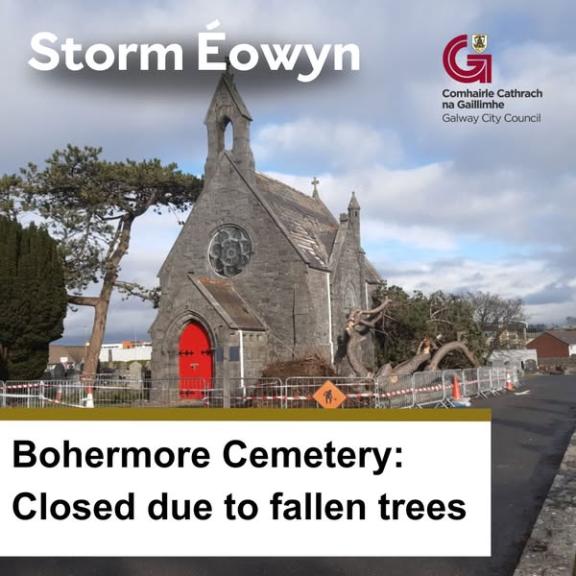 Church surrounded by fallen trees