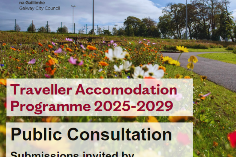 Traveller Accomodation Programme