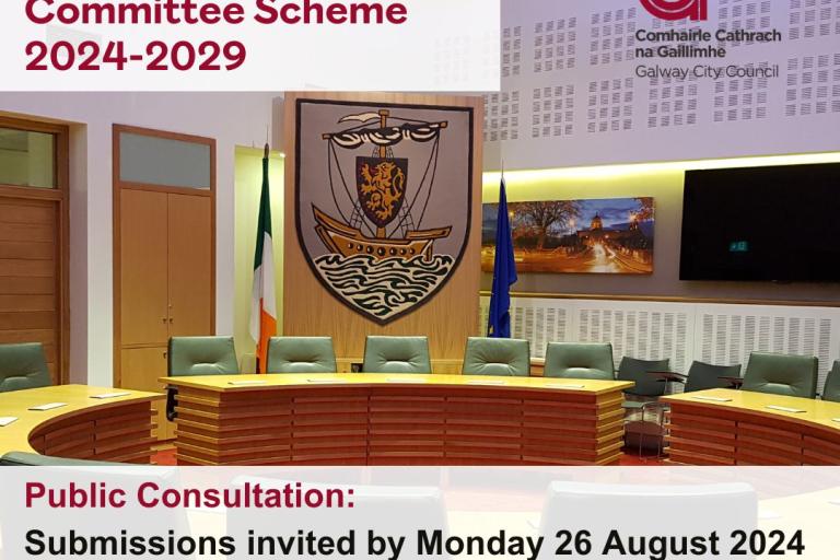 Draft Strategic Policy Committee Scheme 2024 - 2029