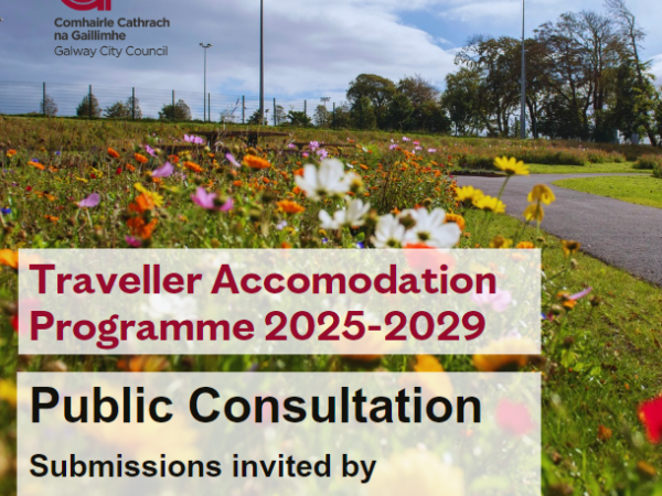 Traveller Accomodation Programme