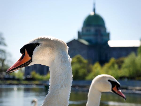 Are Biodiversity and Natural Heritage Important to you? Would you like to Protect Nature? Have your Say!