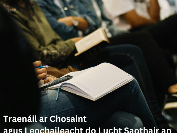 Tugann Comhairle Cathrach na Gaillimhe tús áite don tSábháilteacht Oíche le hOiliúint Saor in Aisce