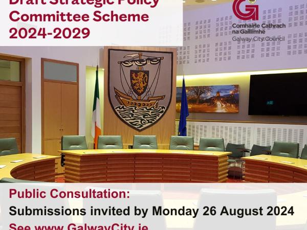 Draft Strategic Policy Committee Scheme 2024 - 2029