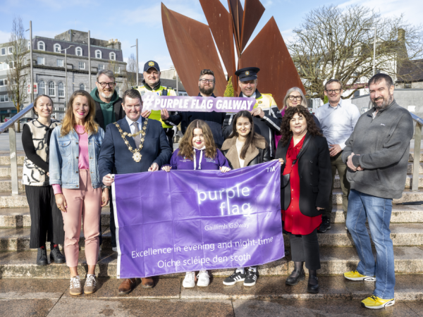 GCC employees, gardaí and stakeholders standing with purple flag